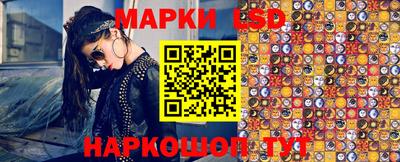 прущие грибы Краснокаменск