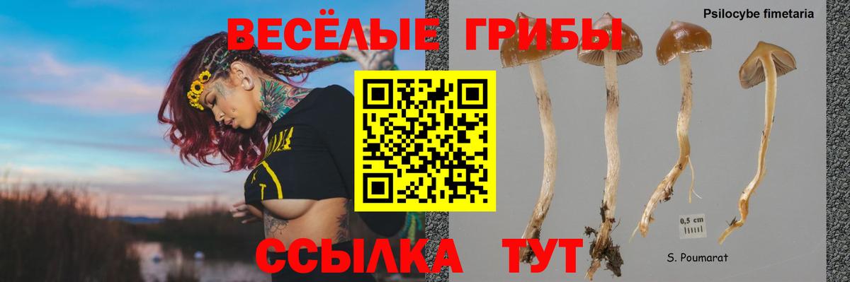Галлюциногенные грибы Magic Shrooms Коммунар
